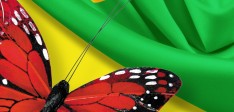 Un été Samba avec la manucure brésilienne…