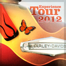 Experience Tour 2012 – « Belle et Rebelle »
